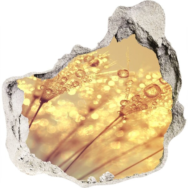 3D wall hole wallpaper Golden meadows in the sunlight