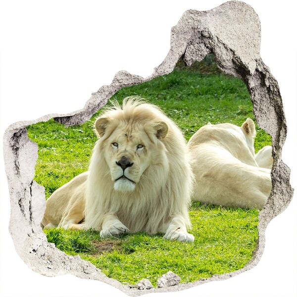 Hole wall sticker White lion in its natural habitat