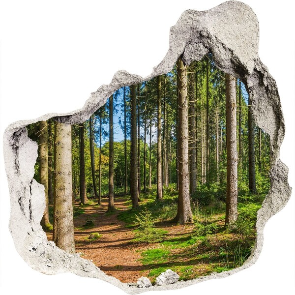 Hole in the wall sticker A forest path in the thicket of trees