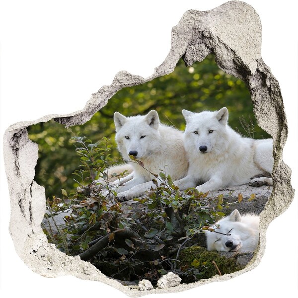 Hole wall sticker Arctic Wolves in a Natural Habitat