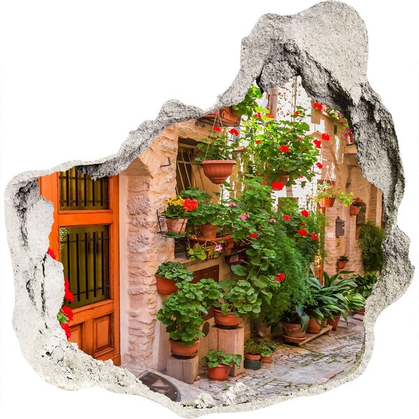 3D wall hole A charming street with flowers