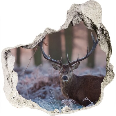 Hole wall sticker Deer in the forest