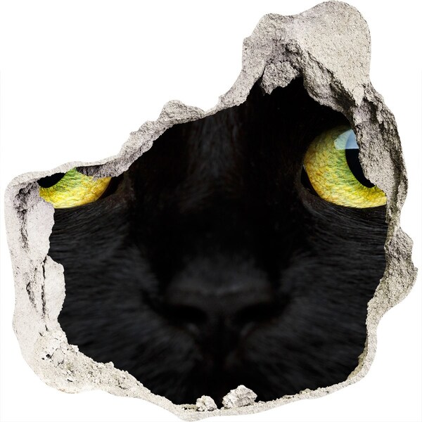 3D wall hole Black cat through a hole in the wall