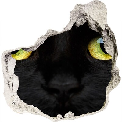 3D wall hole Black cat through a hole in the wall