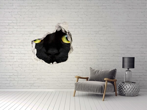 3D wall hole Black cat through a hole in the wall