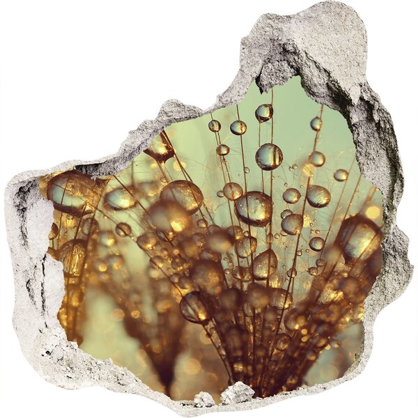 3D wall hole Drops on delicate hairs