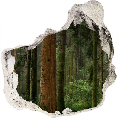 Hole in the wall sticker Green Forest in a Hole in the Wall