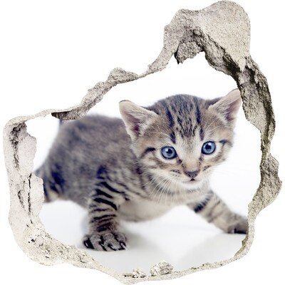 Hole in the wall decal Kitten in a hole in the wall