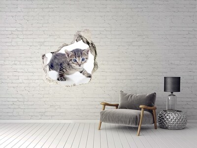 Hole in the wall decal Kitten in a hole in the wall