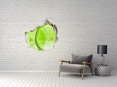 Hole in the wall decal Juicy lime in concrete