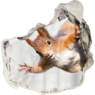 Hole in the wall decal Squirrel in action