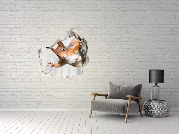 Hole in the wall decal Squirrel in action