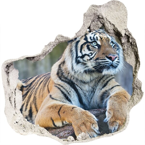 Hole in the wall decal Tiger in the wild