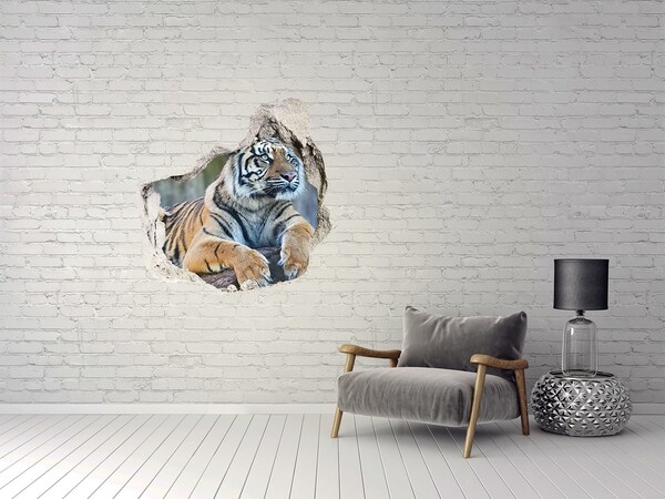 Hole in the wall decal Tiger in the wild