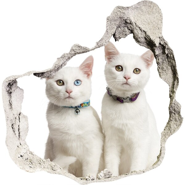 Hole in the wall decal Two white cats in a hole in the wall
