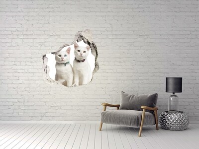 Hole in the wall decal Two white cats in a hole in the wall