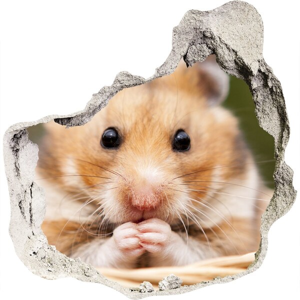 3D wall hole wallpaper Hamster in a transparent hole in the wall