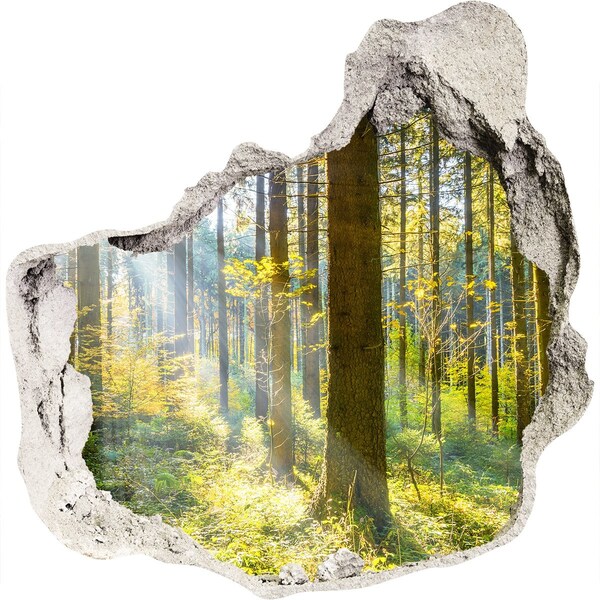 Hole wall sticker Forest oasis of light
