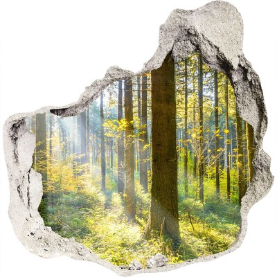 Hole wall sticker Forest oasis of light