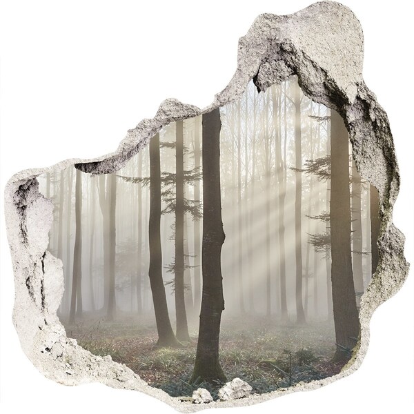 Hole in the wall sticker Misty forest in the morning light