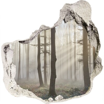 Hole in the wall sticker Misty forest in the morning light
