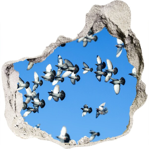 Hole in the wall decal Birds flying through a hole in the wall