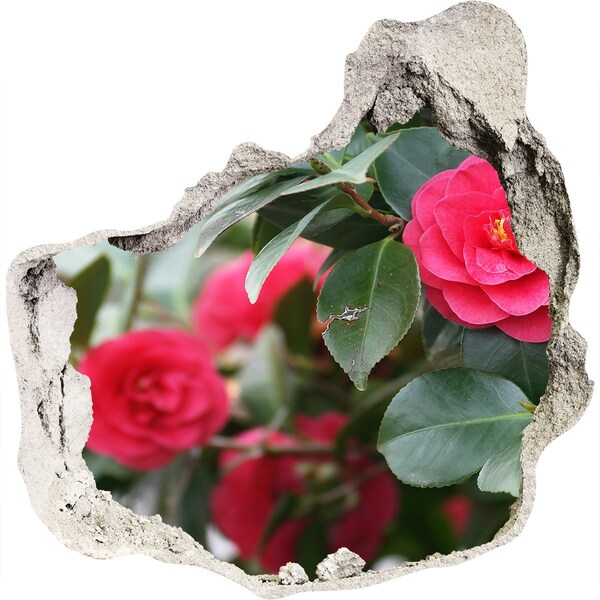 Hole in the wall sticker Flower garden in concrete