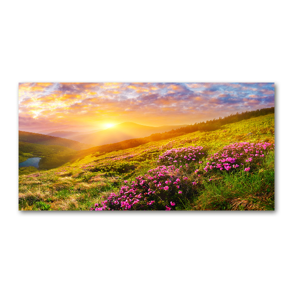 Acrylic print Sunset of the mountain