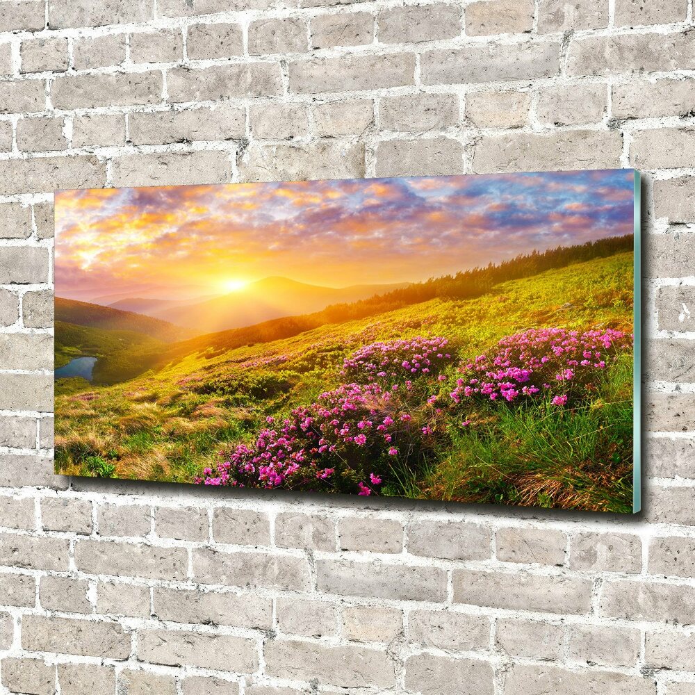 Acrylic print Sunset of the mountain