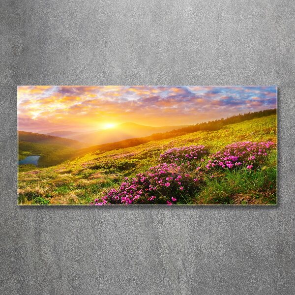 Acrylic print Sunset of the mountain