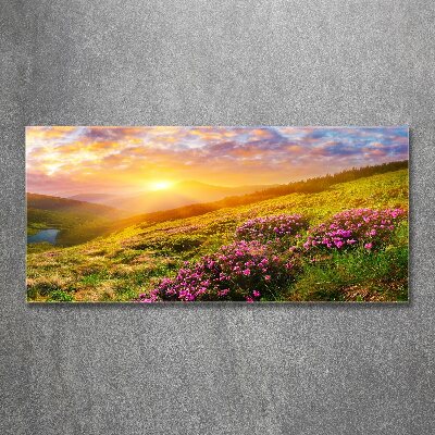 Acrylic print Sunset of the mountain