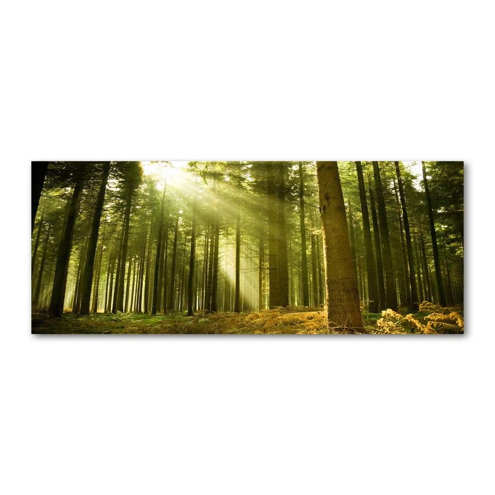 Glass acrylic wall art a pine forest