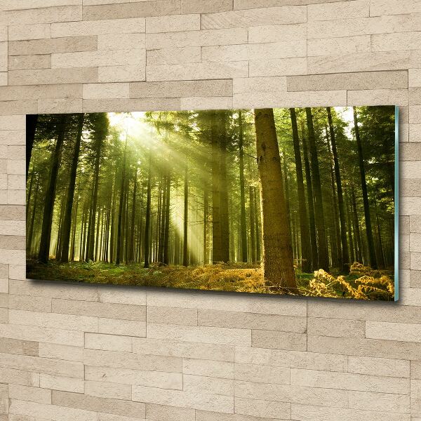 Glass acrylic wall art a pine forest