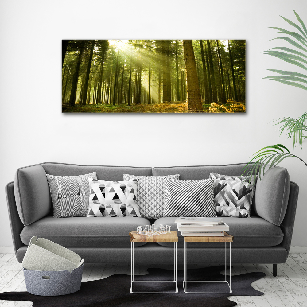 Glass acrylic wall art a pine forest