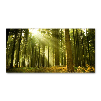 Glass acrylic wall art a pine forest