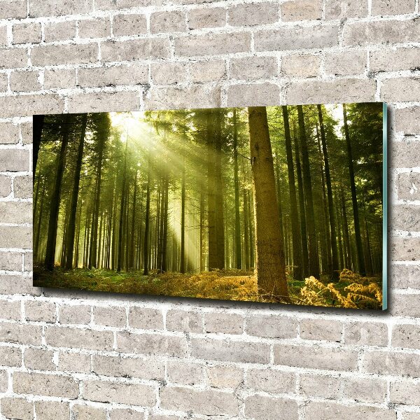 Glass acrylic wall art a pine forest