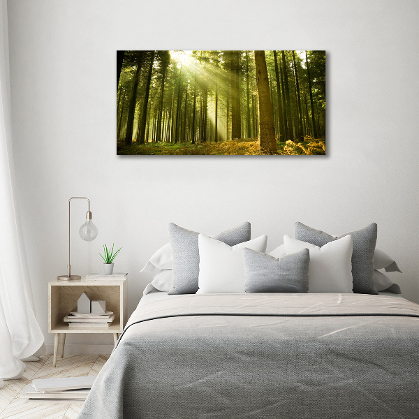 Glass acrylic wall art a pine forest