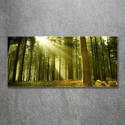 Glass acrylic wall art a pine forest