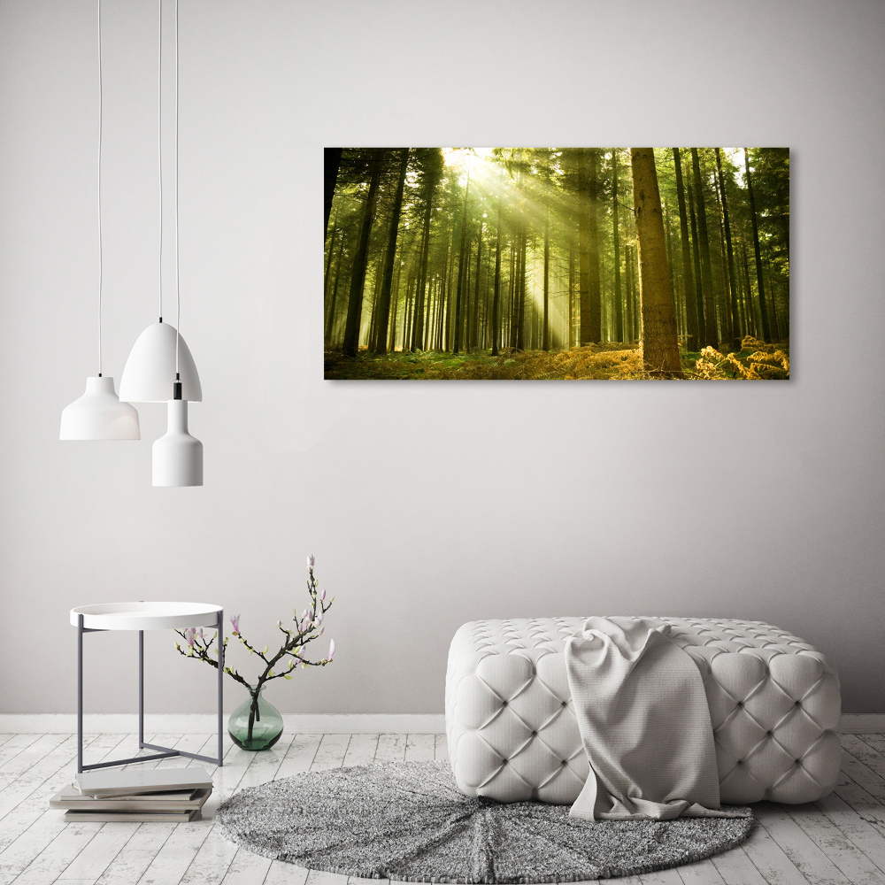 Glass acrylic wall art a pine forest