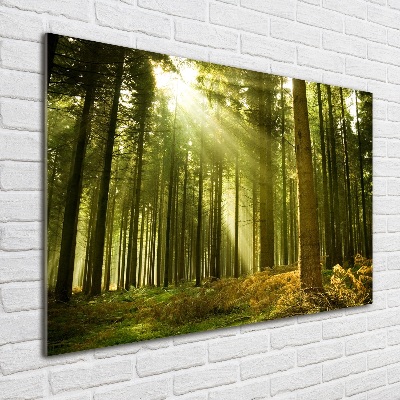 Glass acrylic wall art a pine forest