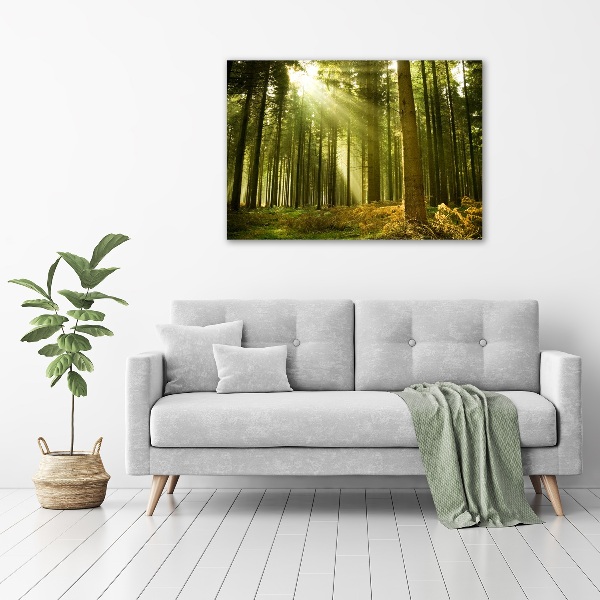 Glass acrylic wall art a pine forest