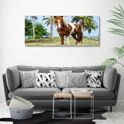 Print on acrylic Spotted horse