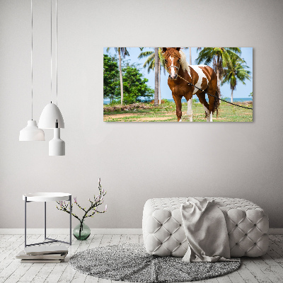 Print on acrylic Spotted horse