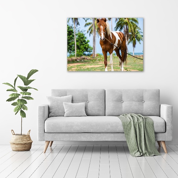 Print on acrylic Spotted horse