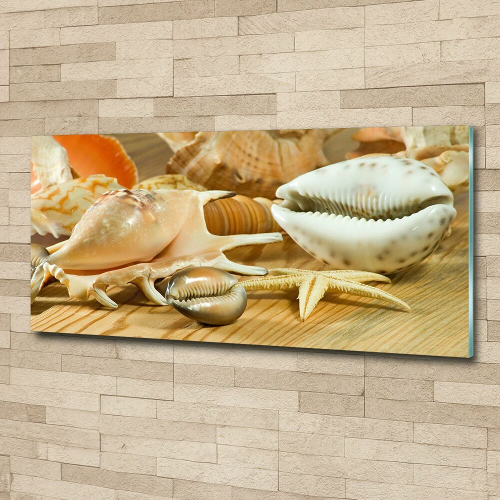 Acrylic wall picture Shells on wood