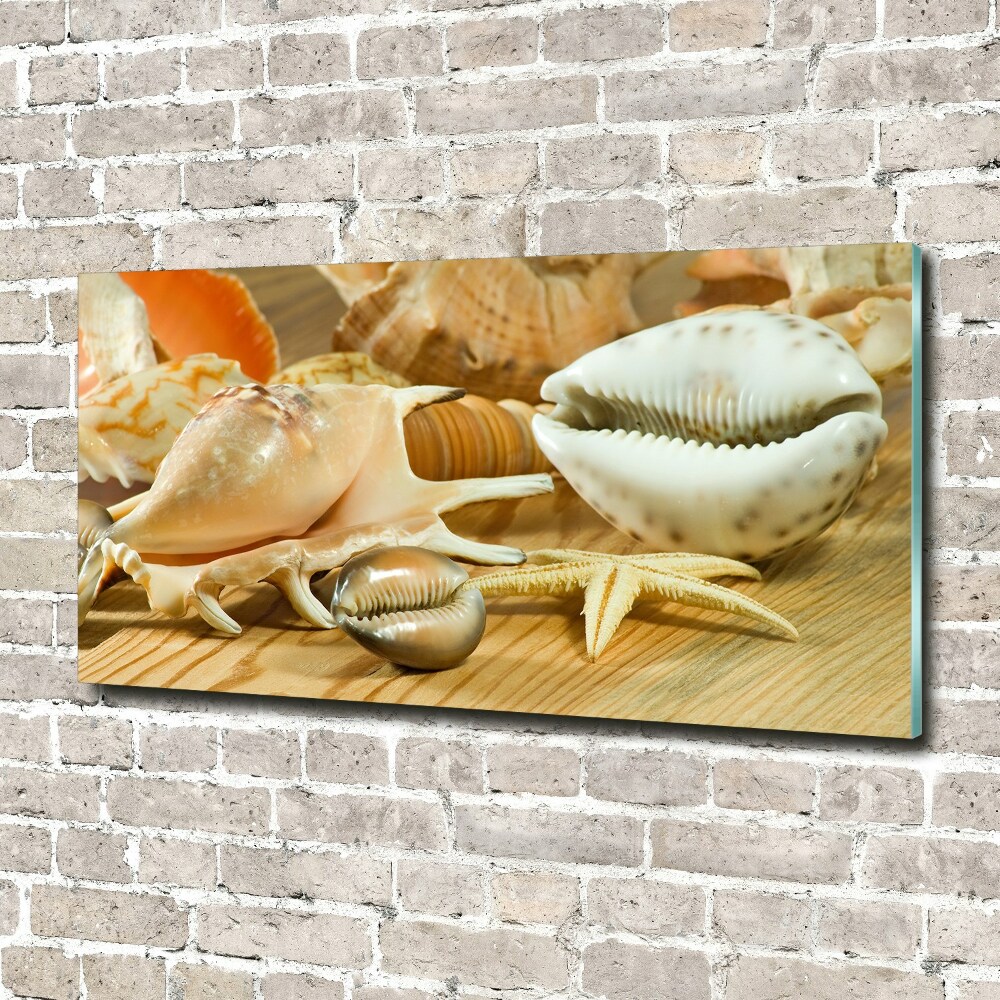 Acrylic wall picture Shells on wood