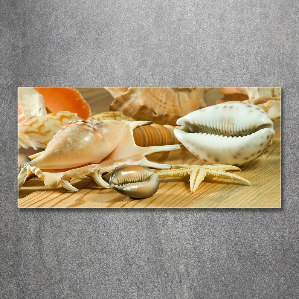 Acrylic wall picture Shells on wood