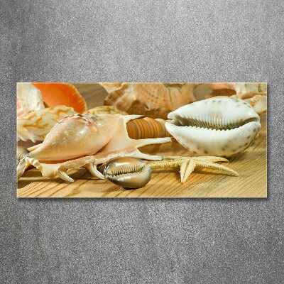 Acrylic wall picture Shells on wood