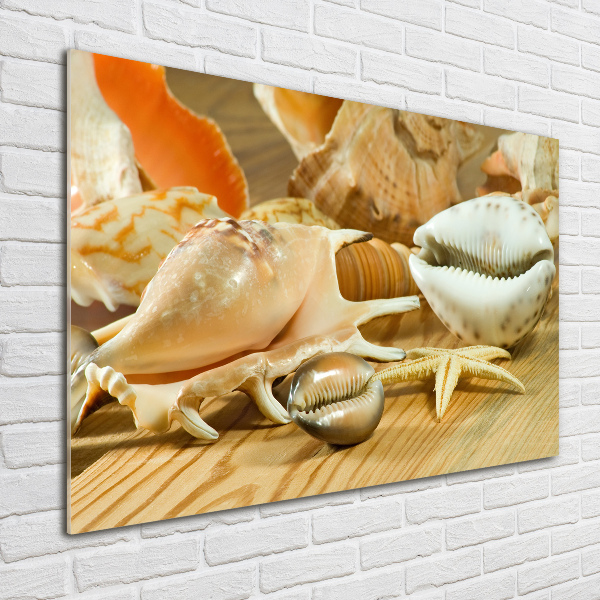 Acrylic wall picture Shells on wood