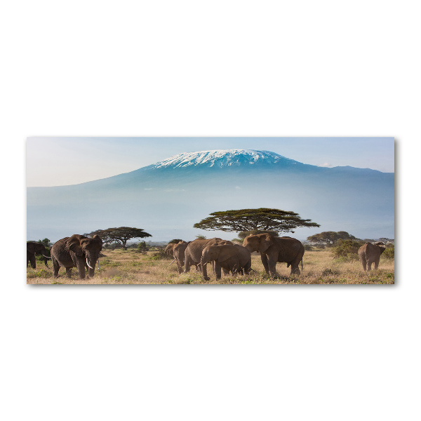 Print on acrylic Kilimanjaro elephants